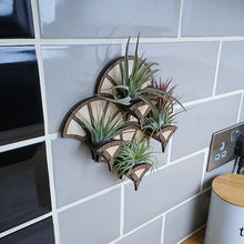 Load image into Gallery viewer, Living Wall Air Plant Holders | The Fan
