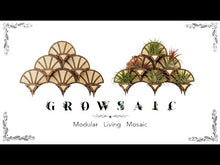 Load and play video in Gallery viewer, Living Wall Air Plant Holders | The Hexagon