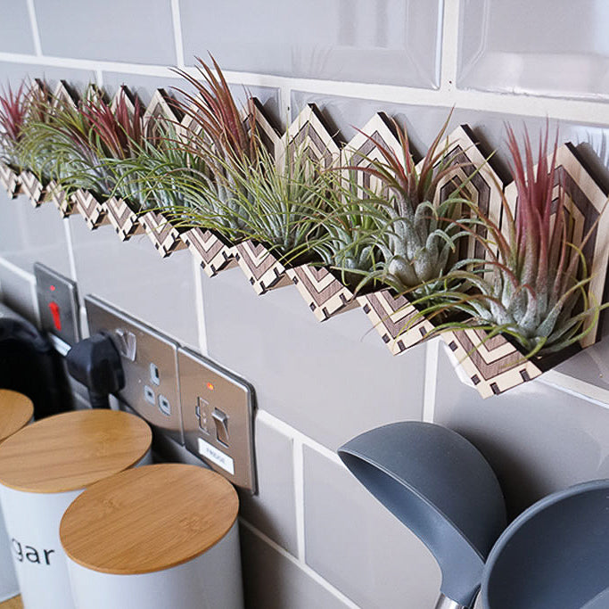 Art Deco Air Plant Holder