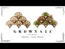 Load and play video in Gallery viewer, Living Wall Air Plant Holders | The Diamond
